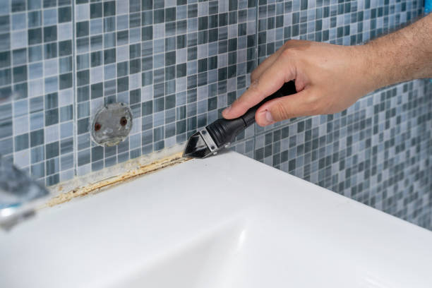 Best Mold Removal Company Near Me  in Tioga Terrace, NY